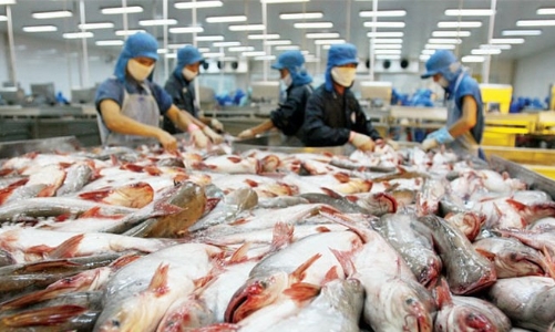 Kiểm soát chặt chẽ chất lượng cá tra, basa xuất khẩu sang Trung Quốc