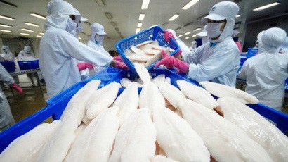 Cá tra xuất khẩu đạt giá trị cao nhất từ trước đến nay. 
