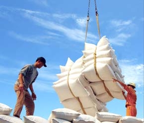 Chính phủ Việt Nam có thể sẽ huỷ bỏ lệnh cấm xuất khẩu gạo từ tháng 3/2007 - Ảnh: Việt Tuấn.