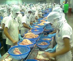 Cá tra xuất khẩu sang Nga trong tháng 6, chiếm 82,6% tổng giá trị xuất khẩu thuỷ sản sang thị trường này.