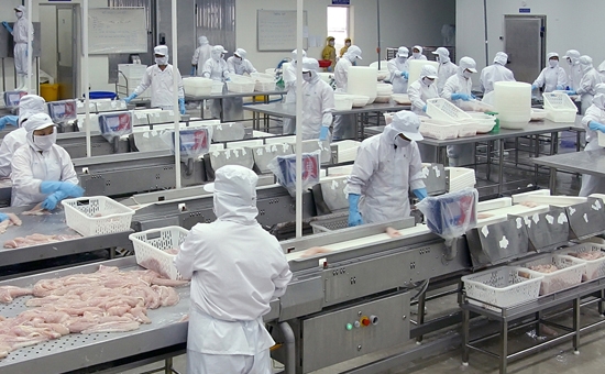 HOSSE đã chấp thuận về nguyên tắc cho Công ty Cổ phần Đầu tư và Phát triển Đa Quốc Gia I.D.I đăng ký niêm yết 38 triệu cổ phiếu trên HOSE.
