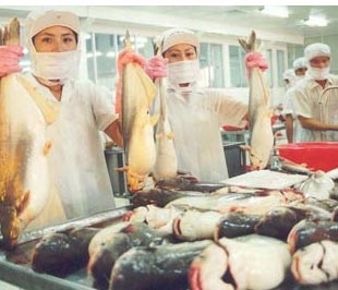 Cơ quan Thú Y và kiểm dịch Ai Cập khẳng định, Cá ba sa Việt Nam xuất sang Ai Cập an toàn cho người sử dụng.