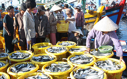 Hiện Thanh tra Bộ Nông nghiệp và phát triển Nông thôn cũng ra quyết định thanh tra toàn diện vụ việc này.