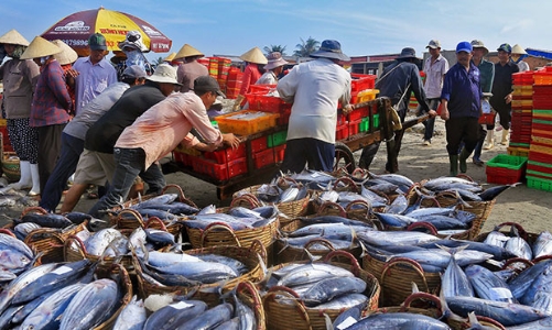 Việt Nam đang khai thác quá mức nguồn lợi thủy hải sản