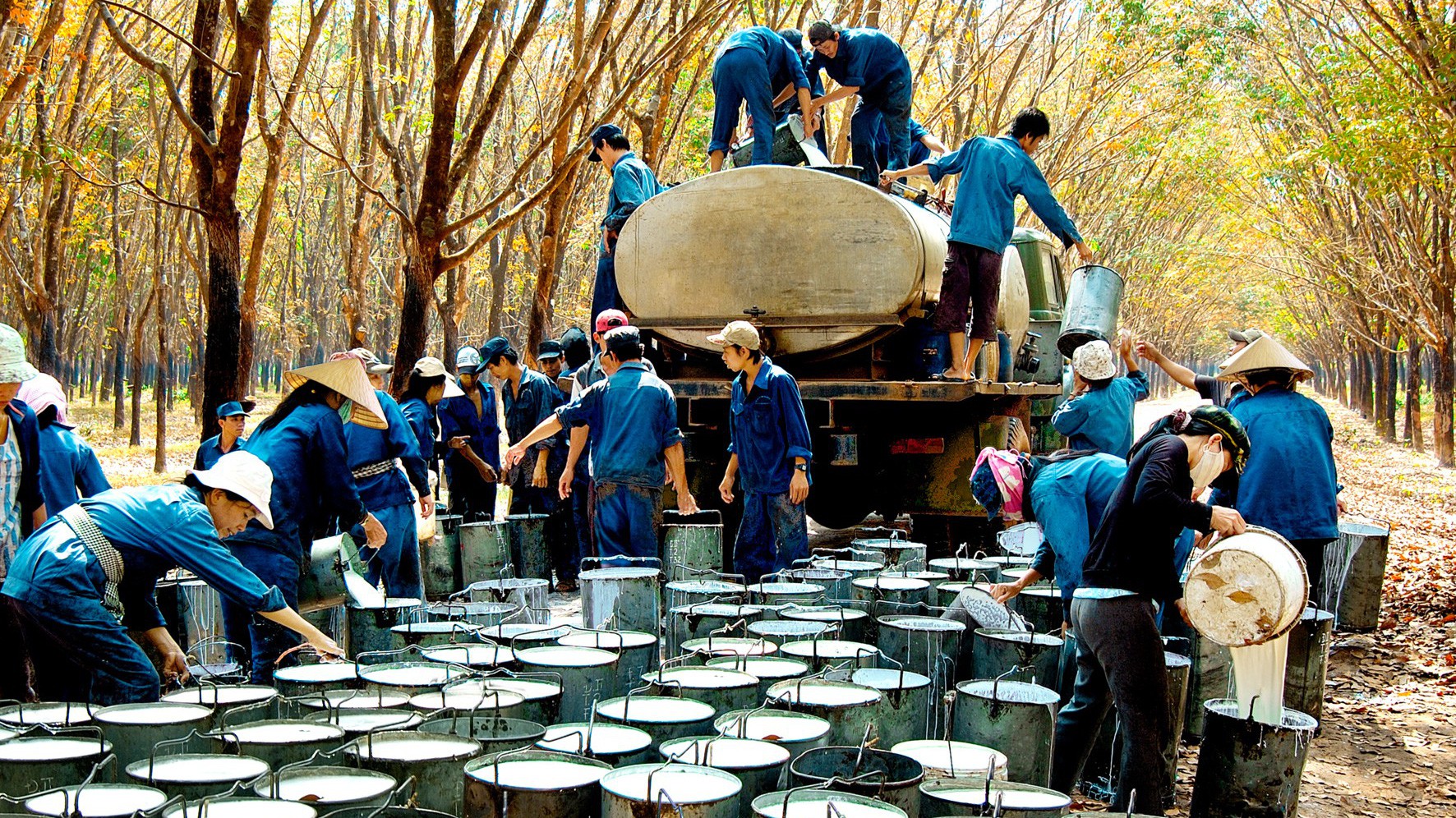 Trung Quốc là thị trường nhập khẩu cao su thiên nhiên lớn nhất của Việt Nam, chiếm khoảng 65,3% tổng lượng cao su thiên nhiên xuất khẩu từ Việt Nam.