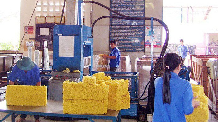 Dự báo sản lượng cao su tự nhiên toàn cầu sẽ tăng chậm lại, còn khoảng 1%/năm trong năm 2019 và năm 2020. Ảnh minh họa