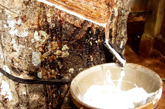 Giảm mạnh thuế nhập khẩu đối với hàng hóa từ ASEAN