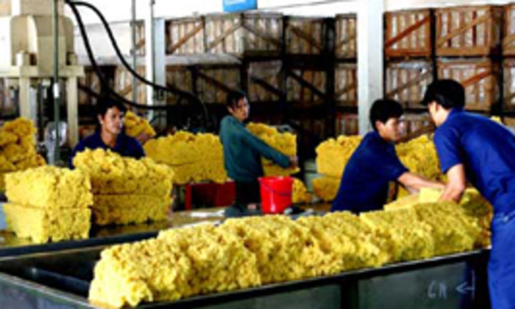 Lượng xuất khẩu cao su năm 2010 chỉ tăng nhẹ, nhưng kim ngạch lại tăng tới gần 90%.
