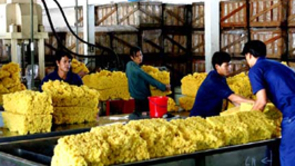 Xuất khẩu nông, lâm, thủy sản 2010: “Câu lạc bộ tỷ đô”