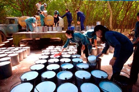 Giá cao su xuất khẩu trung bình 8 tháng đầu năm đạt 2.731 USD/tấn tăng 85,9 % so với cùng kỳ.