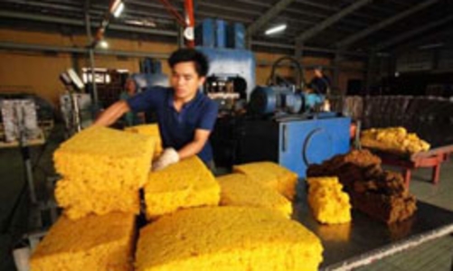 Kiến nghị chưa áp thuế đối với cao su xuất khẩu