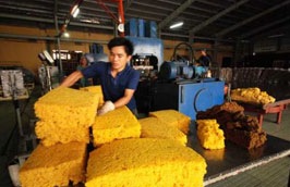 Dự báo sản lượng xuất khẩu của ngành cao su Việt Nam năm 2012 sẽ không cao hơn đáng kể so năm 2011, vào khoảng 800.000 tấn.