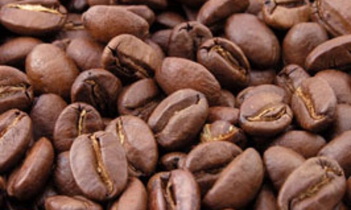 Cà phê Việt Nam sắp có quỹ bảo hiểm xuất khẩu