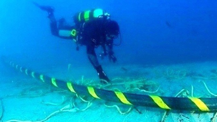 Tuyến cáp APG có sự tham gia đầu tư của các nhà mạng Việt Nam như VNPT, Viettel, FPT Telecom, CMC Telecom.