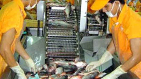 WWF sẽ đưa cá tra Việt Nam ra khỏi “danh sách đỏ”