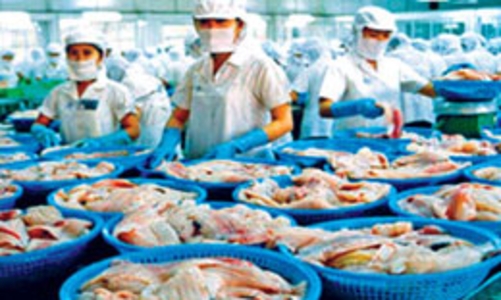 Xuất khẩu cá tra, basa sang Nga có thể tăng mạnh