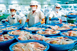 Cá tra Việt Nam đã có mặt ở 127 quốc gia và vùng lãnh thổ.