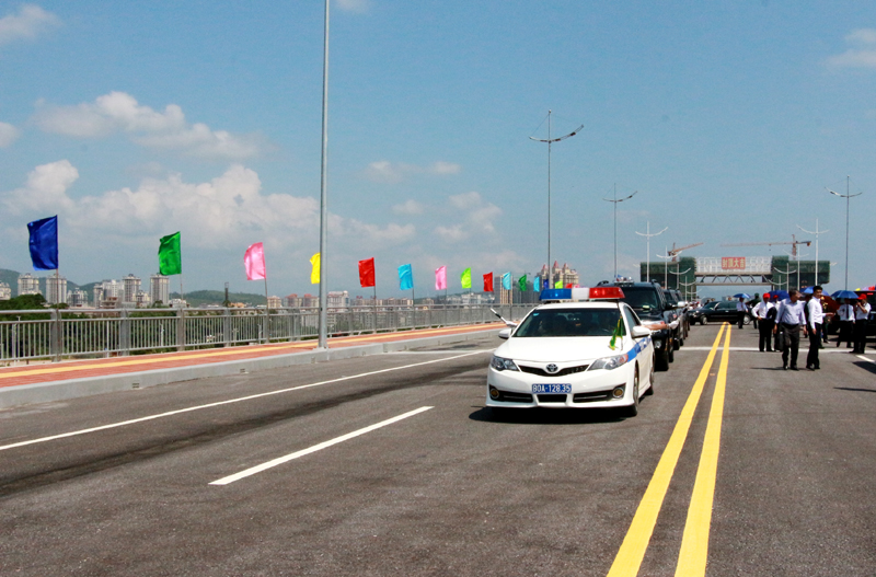 Chiều dài cầu phía Việt Nam là 154,5 m; phía Trung Quốc dài 463,5 m, bề 
rộng cầu 27,7 m, thiết kế 4 làn xe chạy. Tổng mức đầu tư dự án trên 336 
tỷ đồng.