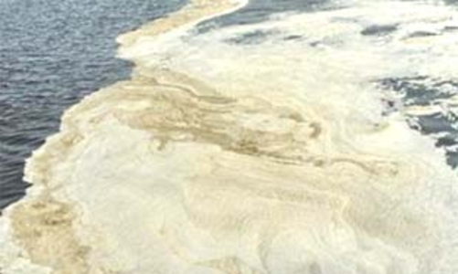 “Chỉ xử lý mỗi Vedan là không công bằng”