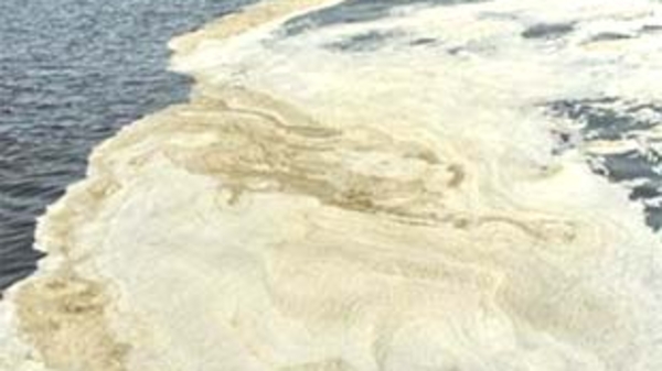 “Chỉ xử lý mỗi Vedan là không công bằng”