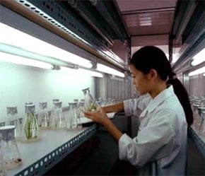 Ngoài việc thực hiện các chức năng chính là nghiên cứu như trước đây, khi đăng ký chuyển đổi sang mô hình tự chủ, tự chịu trách nhiệm, các tổ chức khoa học và công nghệ được cấp giấy phép đăng ký kinh doanh như một doanh nghiệp - Ảnh: TTXVN.