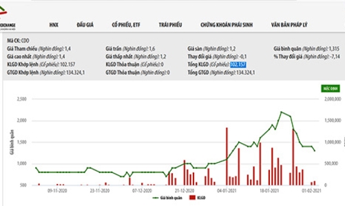 Công bố thông tin sai, CDO bị phạt tiền