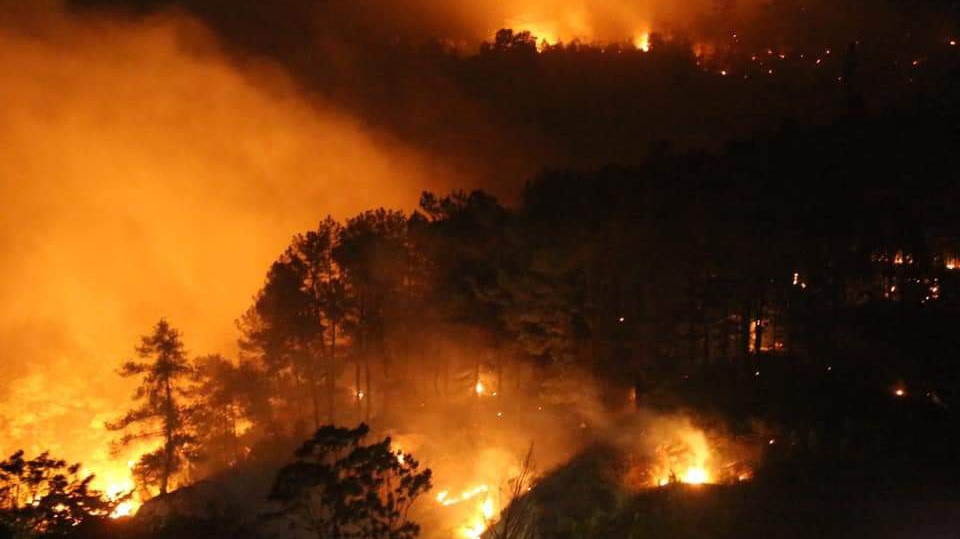 Cháy rừng ở Hương Sơn (Hà Tĩnh)