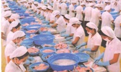 Gỡ vướng thủy sản vào Mỹ 