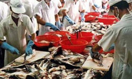 Xuất khẩu thủy sản sang Mỹ: Rắc rối từ tên gọi
