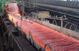 Hiện giá phôi thép trên thế giới vẫn đứng ở mức 600 USD/tấn, nhưng do sự mất giá của VND so với giá USD, các doanh nghiệp sản xuất thép đã phải mua “đắt” thêm khoảng 600.000 đồng/tấn.