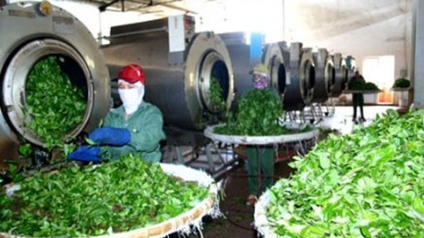 Đón cơ hội khi Myanmar chính thức mở cửa thị trường 