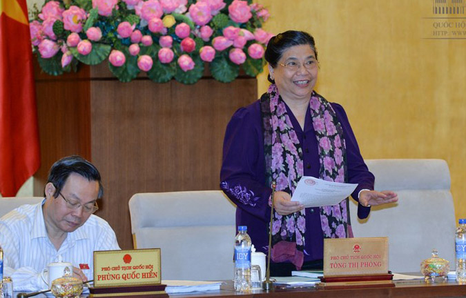 Phó chủ tịch Quốc hội Tòng Thị Phóng phát biểu tại phiên giám sát.