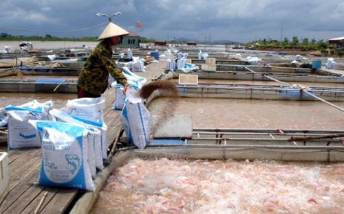 Kết quả xử lý các sai phạm phải báo cáo lên Thủ tướng Chính phủ trước ngày 15/8 tới.<br>