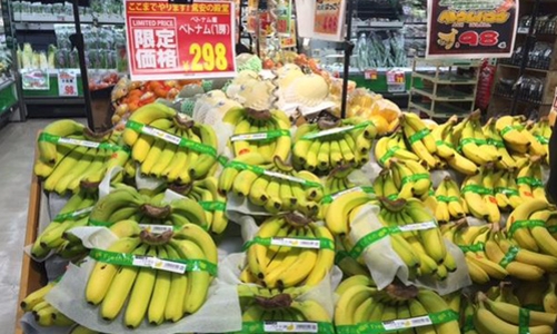 Chuối Việt vào Nhật: 
