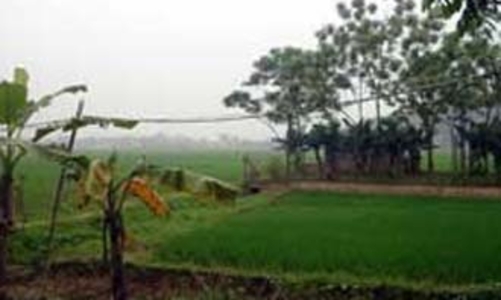 Làng quê Hà Tây thời đất 