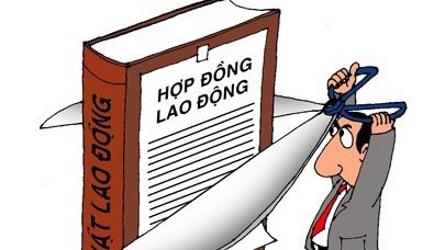 Chưa chốt phương án về việc thực hiện chế độ hợp đồng có thời hạn đối với viên chức được tuyển dụng mới.