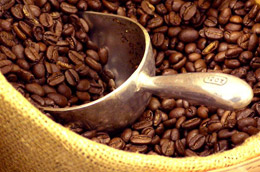 Cà phê là mặt hàng giảm mạnh về kim ngạch xuất khẩu trong quý 1/2010.