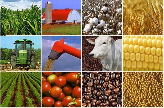 Giới đầu tư năng lượng, chứng khoán đang bất an về triển vọng hồi phục kinh tế Mỹ.