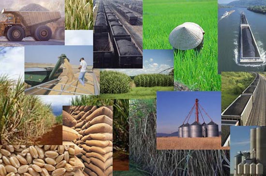 Trung Quốc cam kết sẽ đồng hành cùng châu Âu giải quyết khủng hoảng nợ.