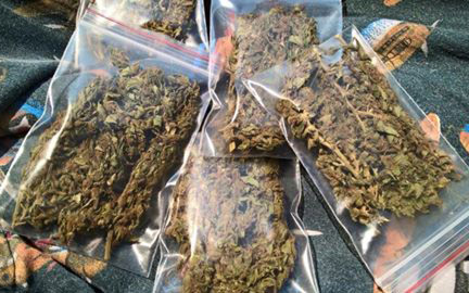 Số người sử dụng ma túy tổng hợp, cỏ mỹ “XLR-11” được cho là đang tăng nhanh.