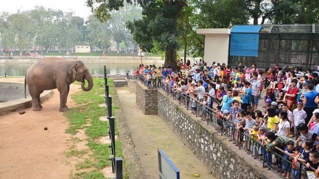 Dự án dự kiến hoàn thành vào quý 4/2020. Thời gian hoạt động của dự án là 50 năm.