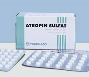 Năm 2009, Traphaco đã xây dựng kế hoạch sản xuất kinh doanh với tổng doanh thu đạt 773 tỷ đồng, dự kiến lợi nhuận tăng 20% so với năm 2008.