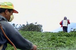 VFG lãi 96,65 tỷ đồng, lãi cơ bản trên mỗi cổ phiếu (EPS) trong năm 2010 đạt 9.915 đồng.