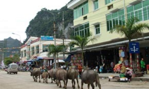 Ba tỉnh miền núi phía Bắc liên minh xúc tiến đầu tư