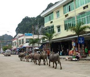 Lạng Sơn được đánh giá là tỉnh có vị trí thuận lợi về địa lý và giao thông.