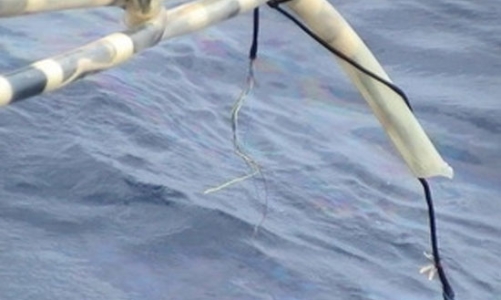 Yêu cầu Trung Quốc bồi thường thiệt hại cho Việt Nam