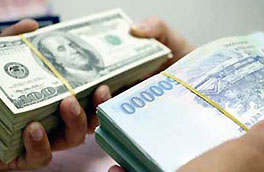 Chống Đô la hóa, theo Bộ Kế hoạch và Đầu tư, về lâu dài, cần coi giải pháp kinh tế, kỹ thuật là chủ đạo, các giải pháp hành chính là thứ yếu.