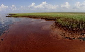 Nợ công ở châu Âu có thể như vết dầu loang.