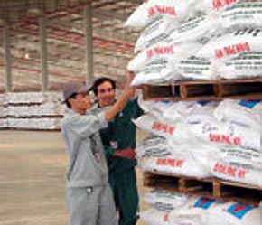 Công nhân trong Nhà máy Đạm Phú Mỹ.