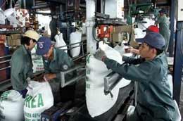 Phân bón giả, kém chất lượng xuất hiện nhiều trên thị trường đã làm ảnh hưởng đến các doanh nghiệp làm ăn chân chính.